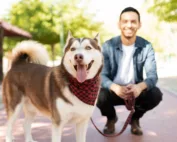 What Orlando and Tampa dog owners need to know about the new dangerous dog law on Florida's Pam Rock Act